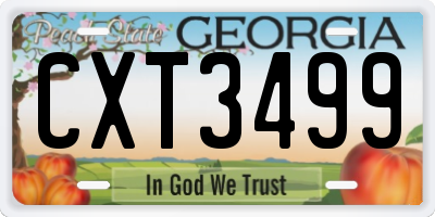 GA license plate CXT3499