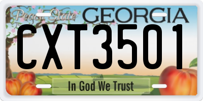 GA license plate CXT3501