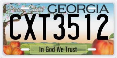 GA license plate CXT3512