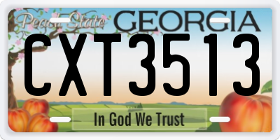 GA license plate CXT3513