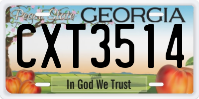 GA license plate CXT3514