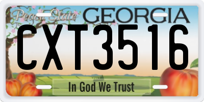 GA license plate CXT3516