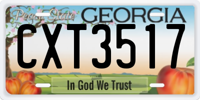GA license plate CXT3517