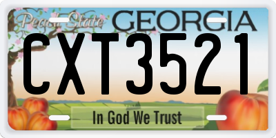 GA license plate CXT3521