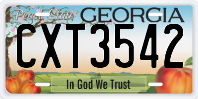 GA license plate CXT3542