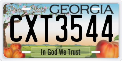 GA license plate CXT3544