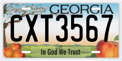 GA license plate CXT3567