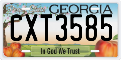GA license plate CXT3585
