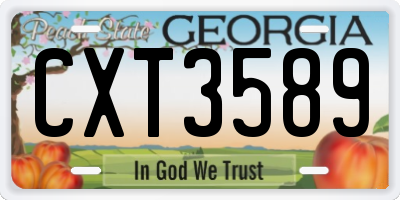 GA license plate CXT3589