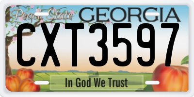 GA license plate CXT3597