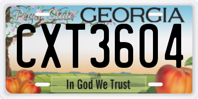 GA license plate CXT3604