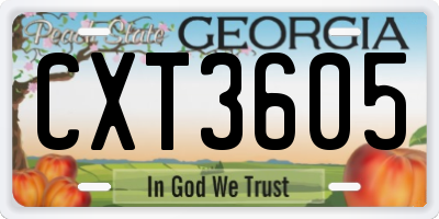 GA license plate CXT3605