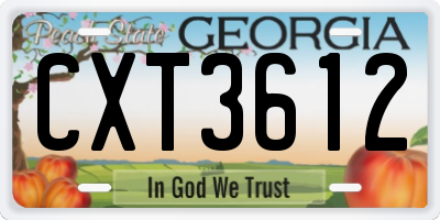 GA license plate CXT3612