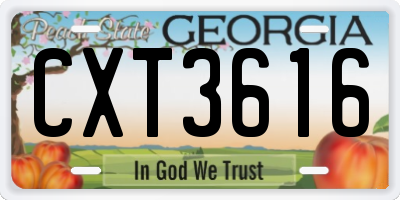 GA license plate CXT3616