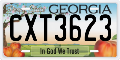 GA license plate CXT3623