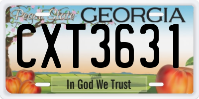 GA license plate CXT3631