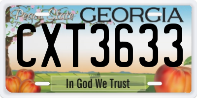 GA license plate CXT3633