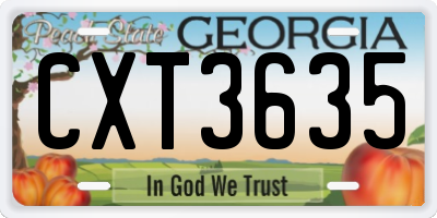 GA license plate CXT3635