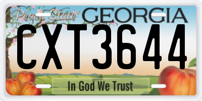 GA license plate CXT3644