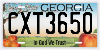 GA license plate CXT3650