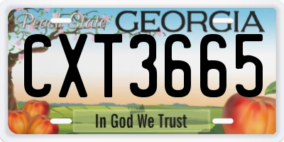 GA license plate CXT3665