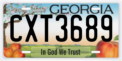 GA license plate CXT3689