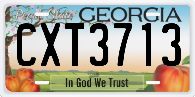 GA license plate CXT3713