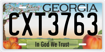 GA license plate CXT3763