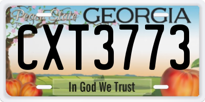 GA license plate CXT3773