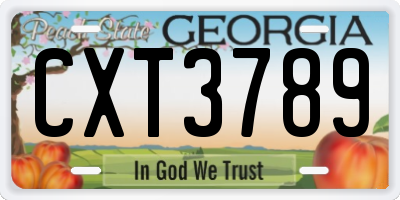 GA license plate CXT3789