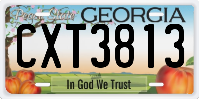 GA license plate CXT3813
