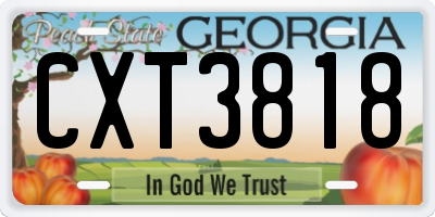 GA license plate CXT3818