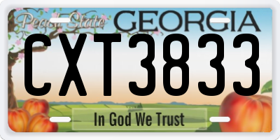 GA license plate CXT3833