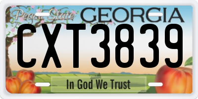 GA license plate CXT3839