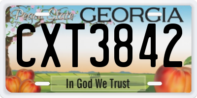 GA license plate CXT3842