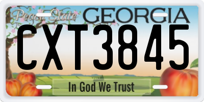 GA license plate CXT3845