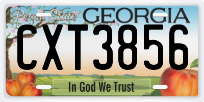 GA license plate CXT3856