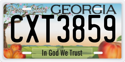 GA license plate CXT3859