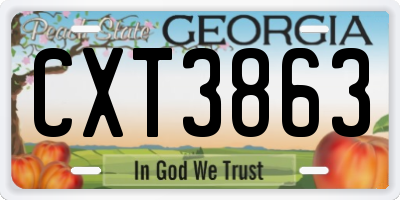 GA license plate CXT3863