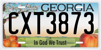GA license plate CXT3873