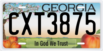 GA license plate CXT3875