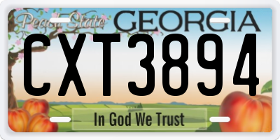 GA license plate CXT3894