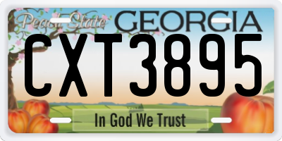 GA license plate CXT3895