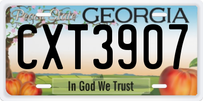 GA license plate CXT3907