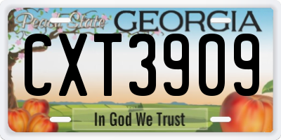 GA license plate CXT3909