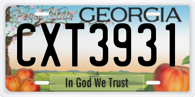 GA license plate CXT3931