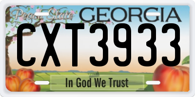 GA license plate CXT3933