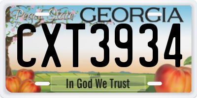 GA license plate CXT3934