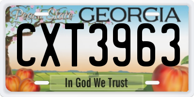 GA license plate CXT3963