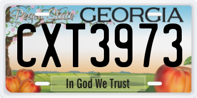 GA license plate CXT3973